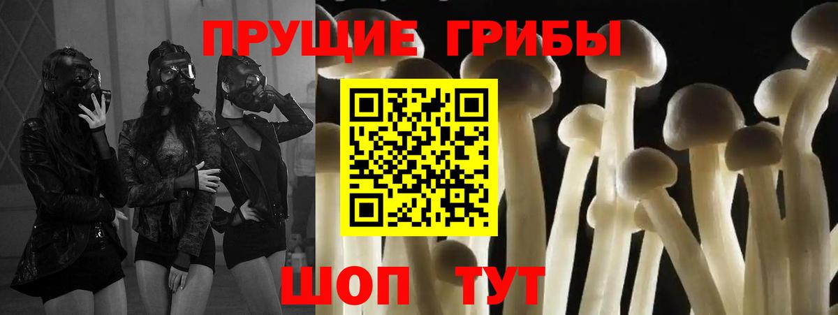 Дзержинск  Псилоцибиновые грибы MAGIC MUSHROOMS  дарнет шоп  Вход с VPN 
